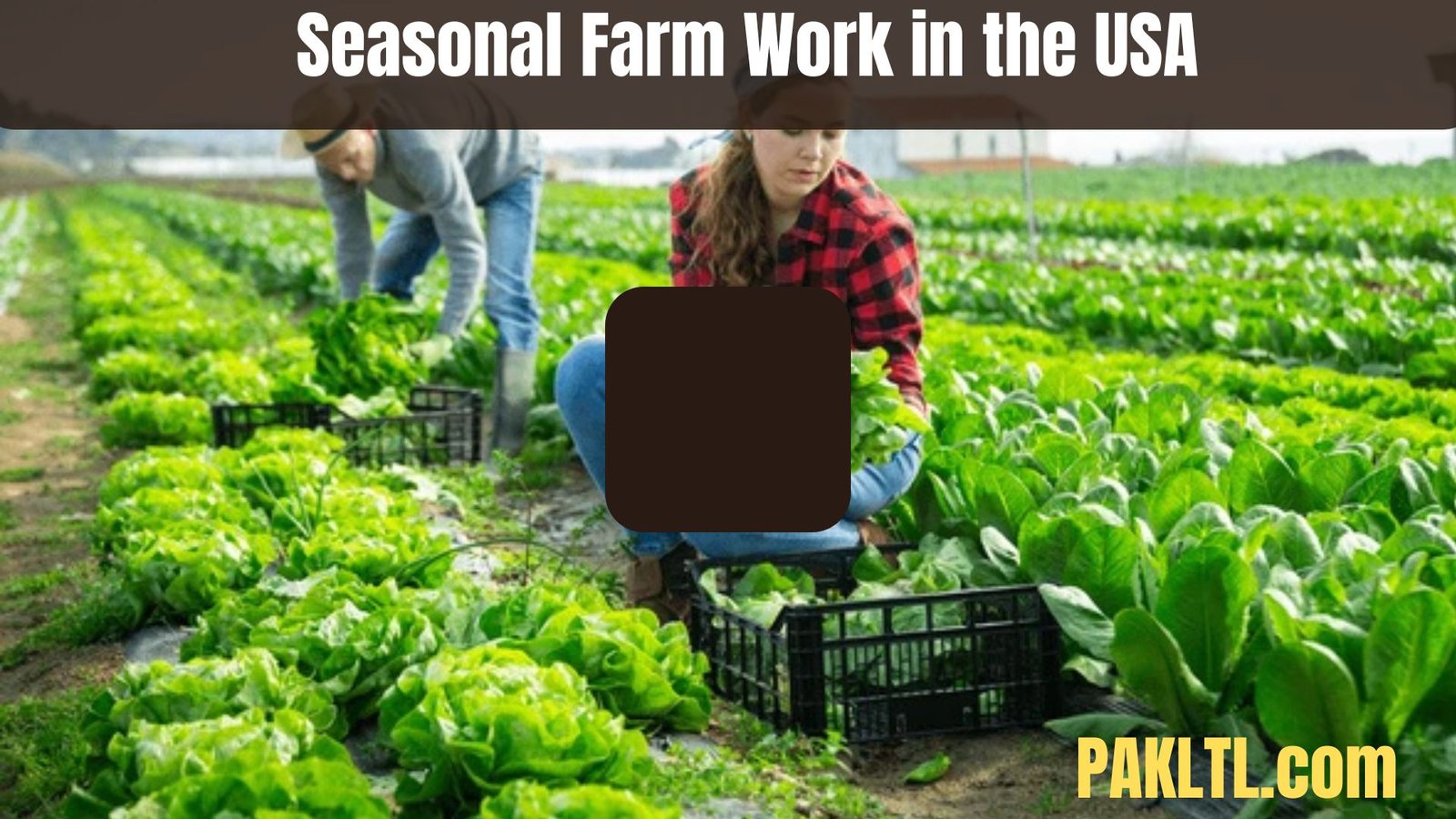 Harvest the American Dream: Seasonal Farm Work in the USA