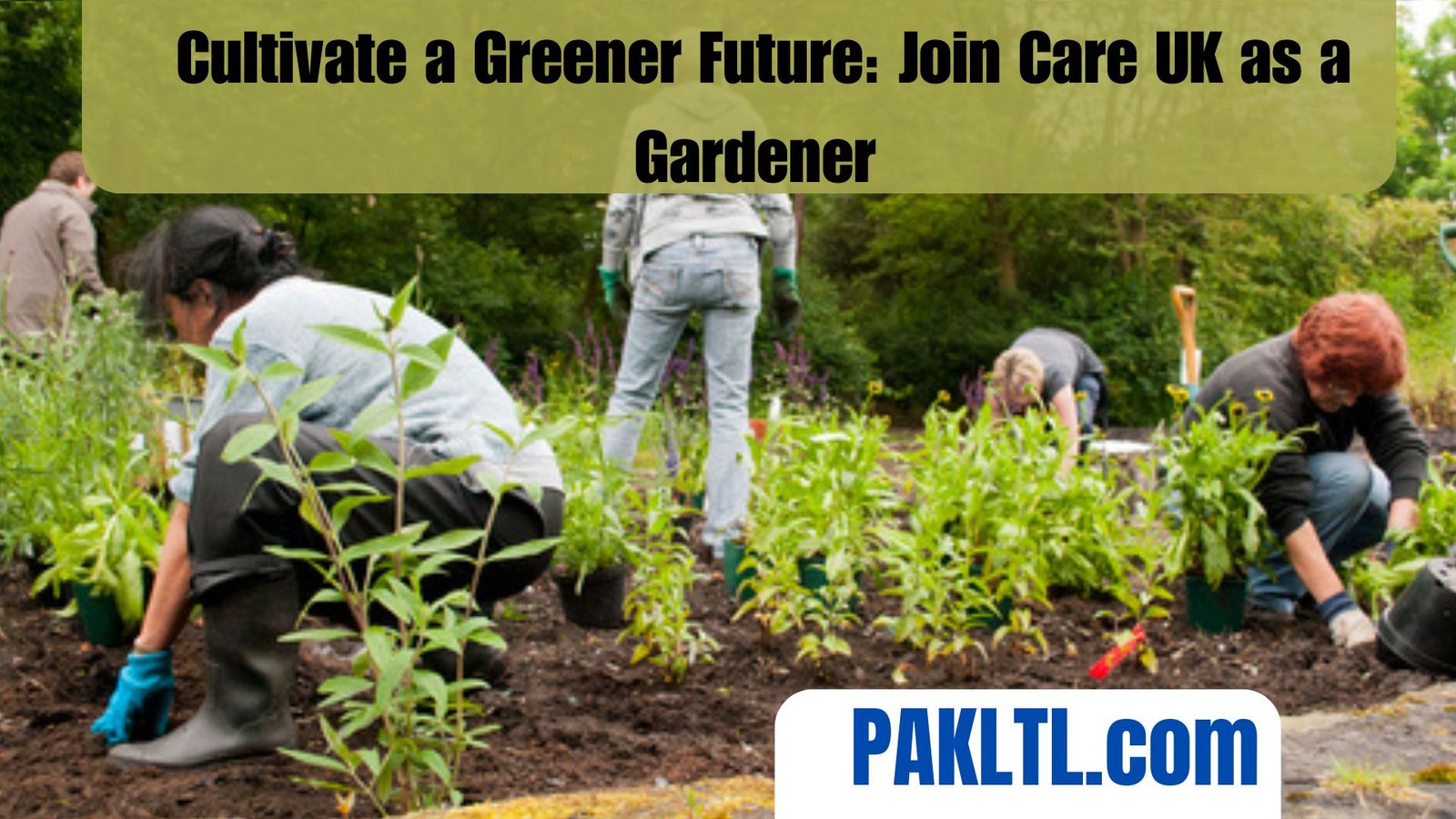 Cultivate a Greener Future: Join Care UK as a Gardener