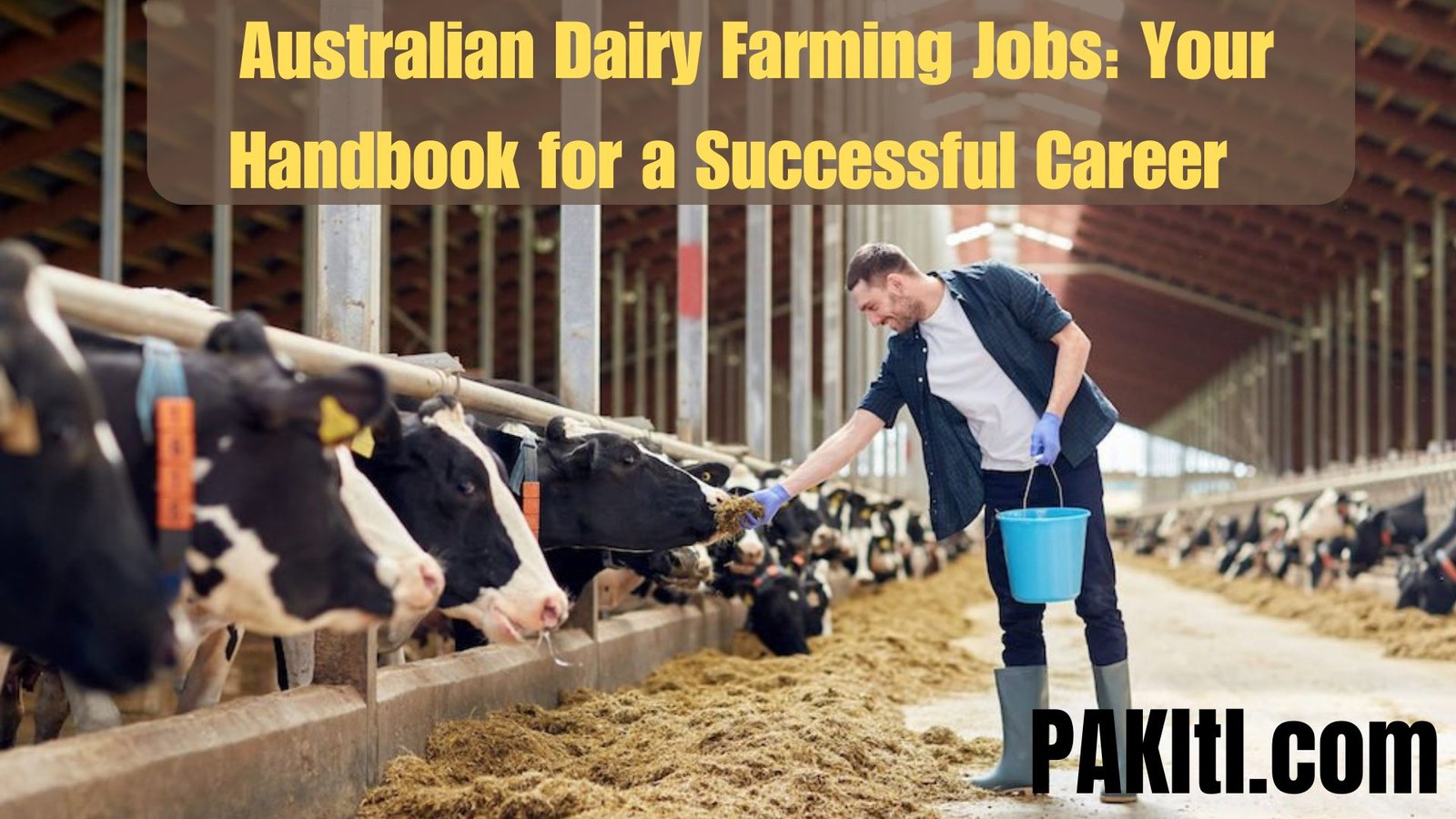 Australian Dairy Farming Jobs: Your Handbook for a Successful Career